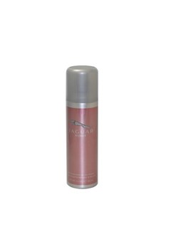notino gypsy water