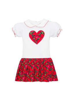 Body-sukienka dziecięca ze sklepu JK-Collection w kategorii Body niemowlęce - zdjęcie 92550081